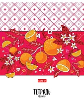 картинка Тетрадь 48л А5ф клетка 65г/кв.м на скобе 5 диз.в блоке скругл.углы серия -Апельсиновое настроение-  48Т5В1 от магазина