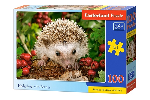 картинка Ежик с ягодами, 100 деталей, Пазлы Castor Land от магазина