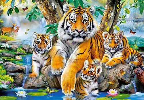 картинка Семья тигров у реки, 1000 деталей Castor Land от магазина